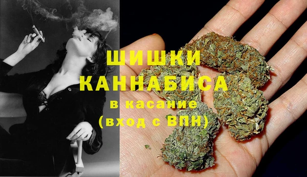 сатива Волосово